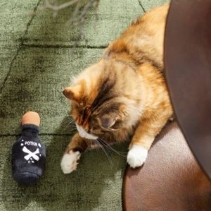 🆕 "Pet Lifestyle & You" Feline Frenzy Killer Cat Potion Plush